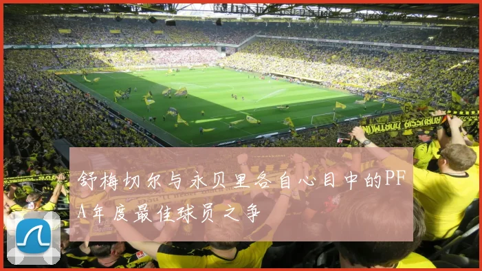 舒梅切尔与永贝里各自心目中的PFA年度最佳球员之争