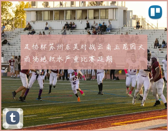 足协杯苏州东吴对战云南玉昆因大雨场地积水严重比赛延期