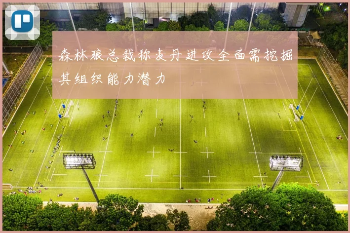 森林狼总裁称麦丹进攻全面需挖掘其组织能力潜力